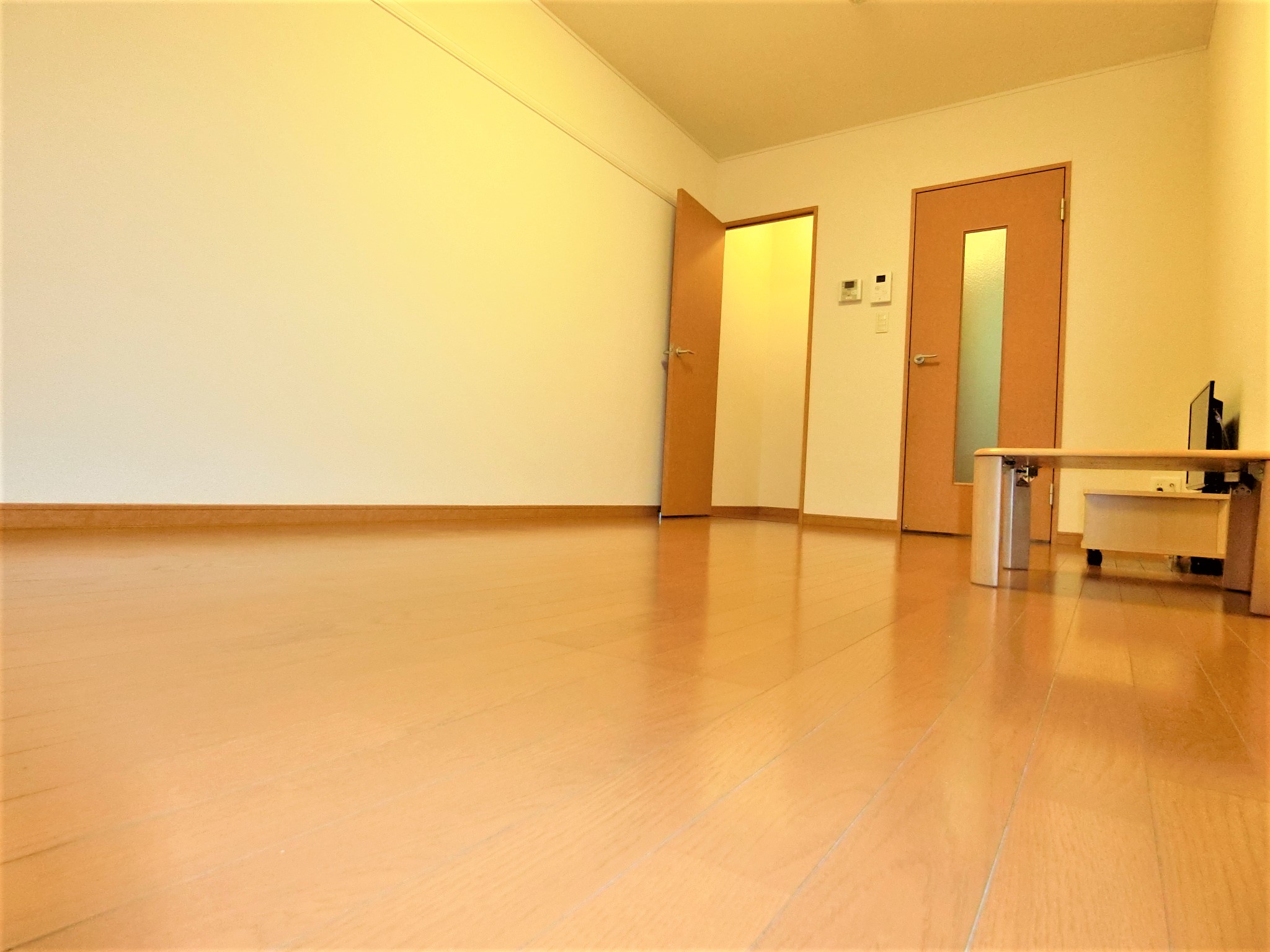 その他　テレビ・ローテーブル・クローゼット・照明を完備です☆