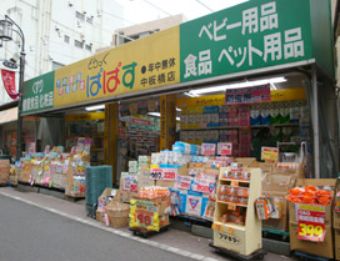 ドラックストア　どらっぐぱぱす中板橋店（ドラッグストア）まで384m
