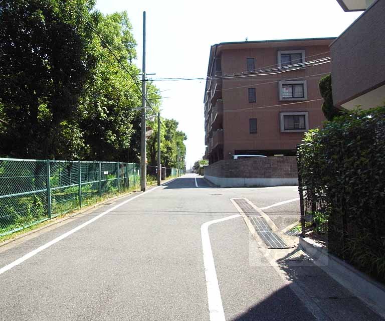 その他　前面道路です
