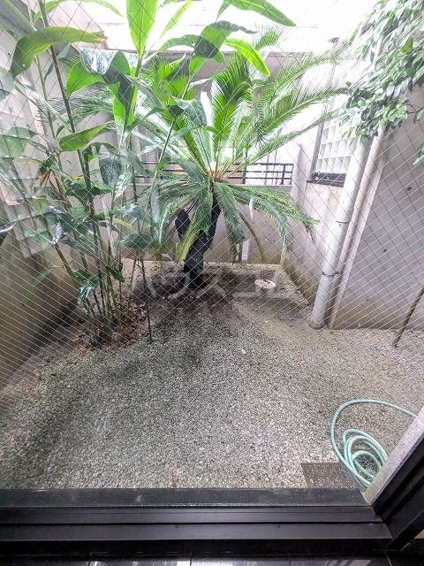 庭