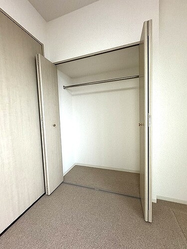 収納　クロゼット(洋室)