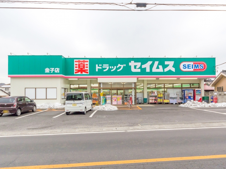 ドラックストア　ドラッグセイムス金子店（ドラッグストア）まで613m