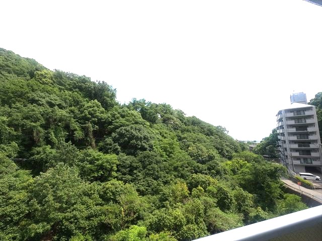 眺望　眺望
