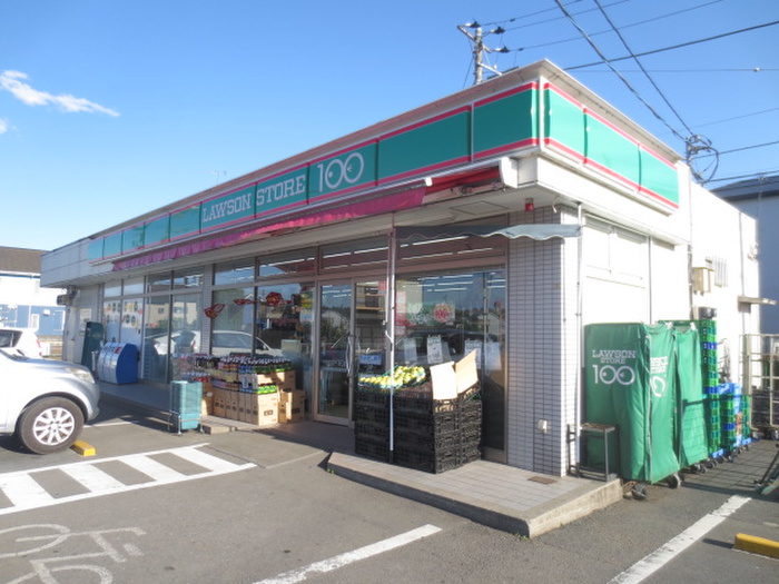 コンビニ　ローソンストア100相模原望地田名店（コンビニ）まで41m