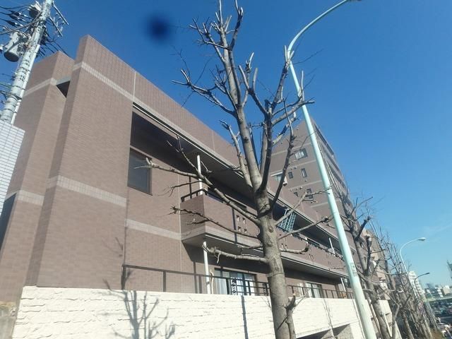 その他　外観