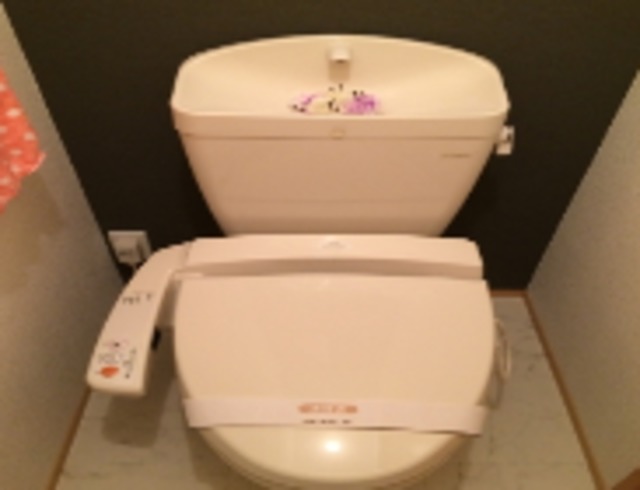 メゾンドールKASAのトイレ写真