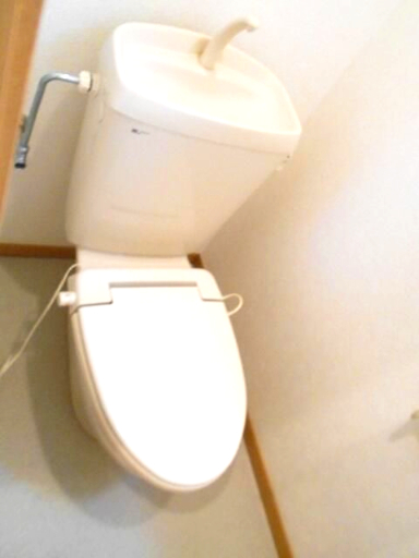 トイレ　トイレです