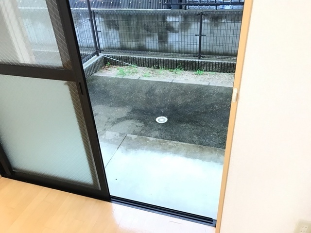 庭