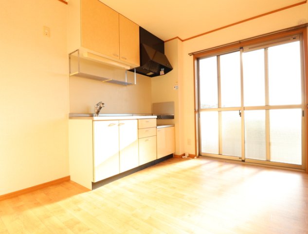 居室・リビング　※同タイプの部屋写真です