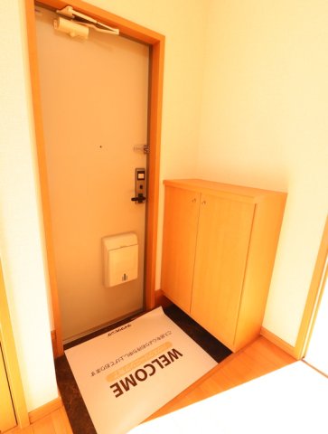 玄関　※同タイプの部屋写真です