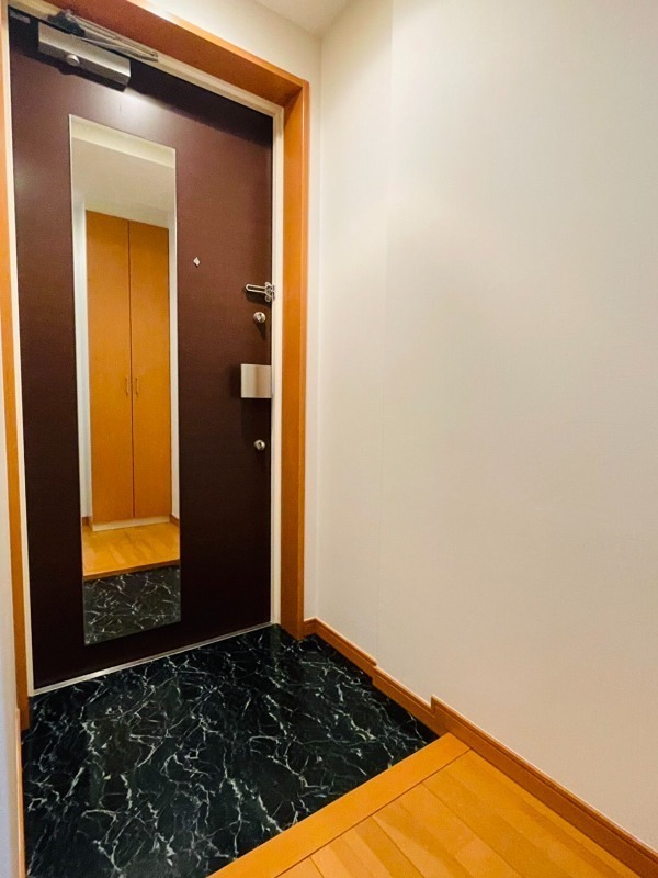 玄関　同仕様写真含む