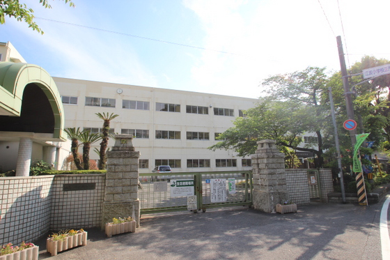 小学校　広島市立江波小学校（小学校）まで419m