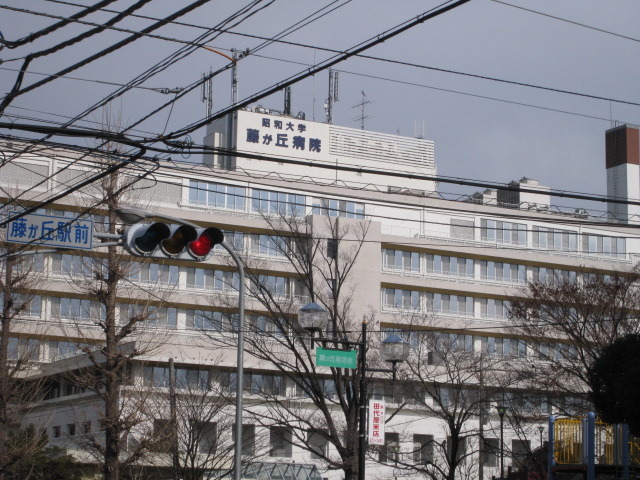 病院　昭和大学藤が丘病院（病院）まで1600m