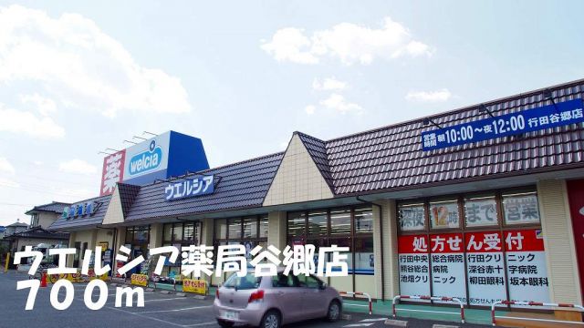 ドラックストア　ウエルシア薬局谷郷店（ドラッグストア）まで700m