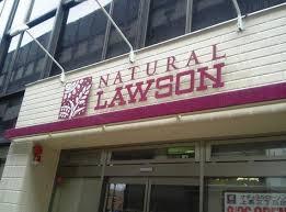 その他　ナチュラルローソン　…まで487m?