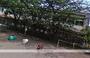 幼稚園・保育園　柳島幼稚園（幼稚園・保育園）まで105m