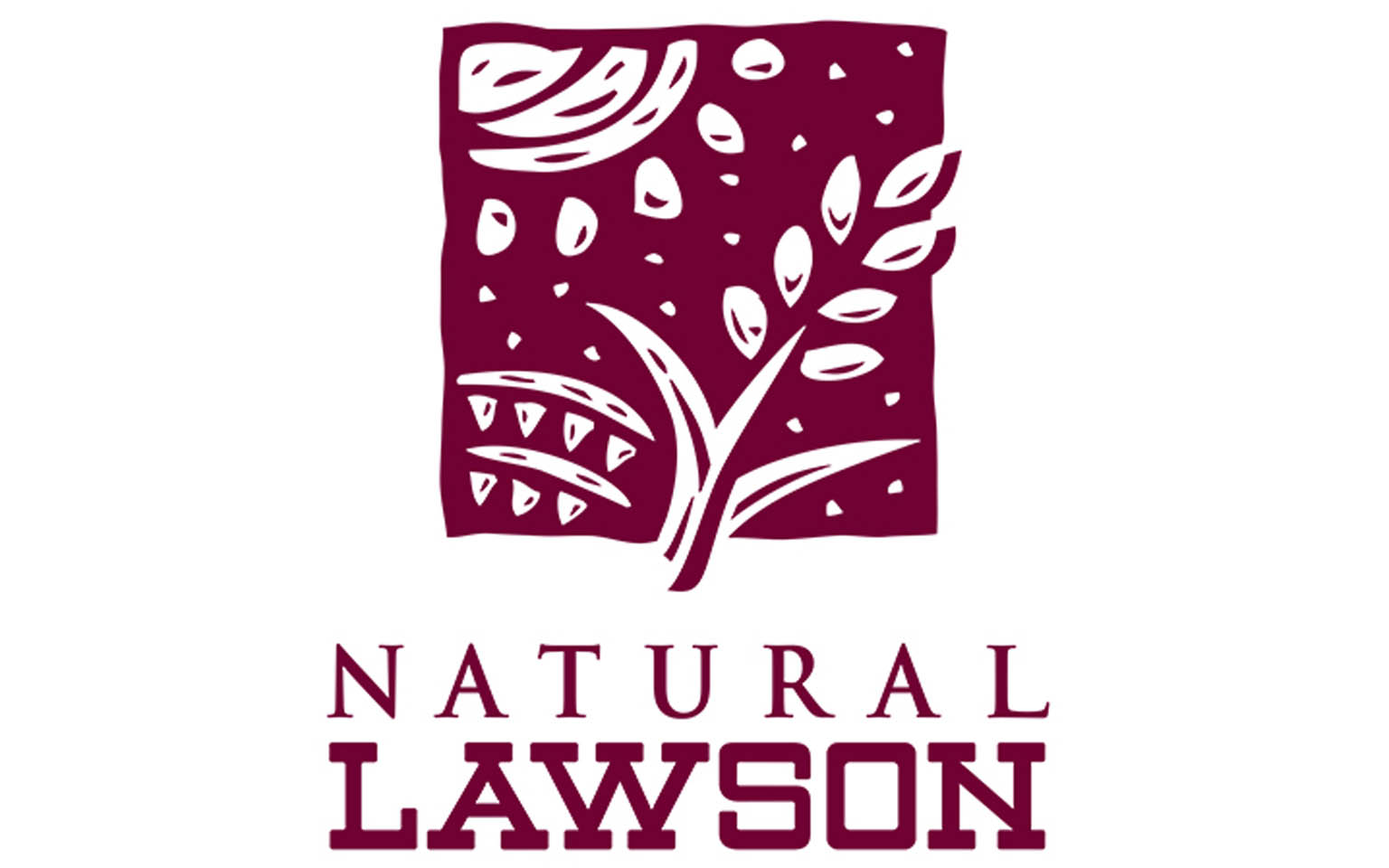 コンビニ　ナチュラルローソン NL南麻布二丁目店（コンビニ）まで366m