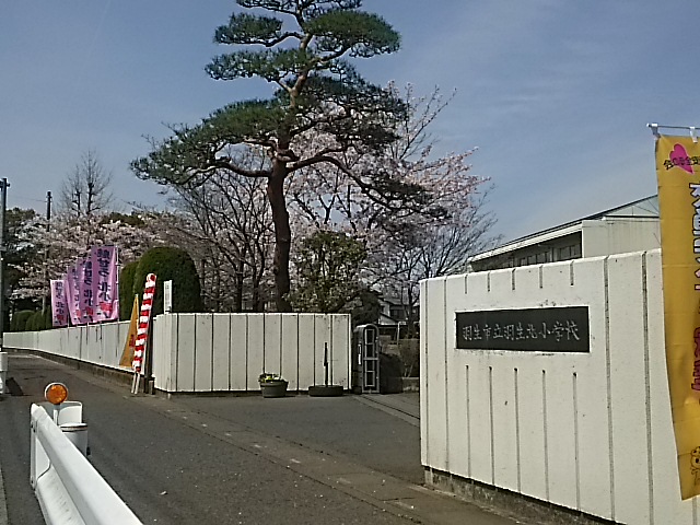 小学校　羽生北小学校（小学校）まで230m