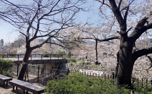 公園　都賀川公園（公園）まで376m