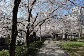 公園　東横堀緑道（公園）まで1199m
