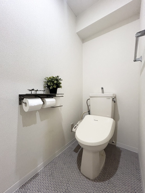 ビューハイツ竹内のトイレ写真