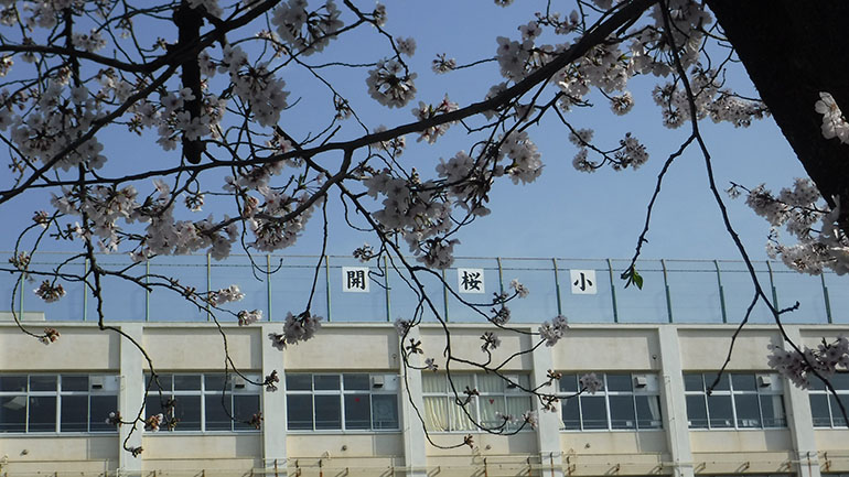 小学校　大田区立開桜小学校（小学校）まで1496m