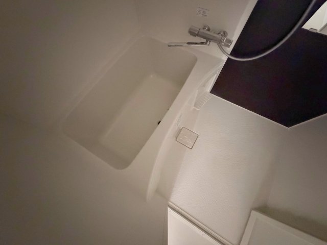 バス・シャワールーム　広めのお風呂は一日の疲れを癒してくれます。