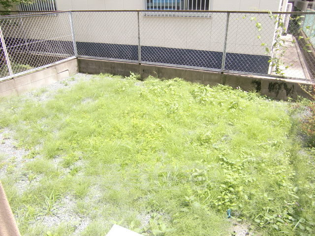 庭