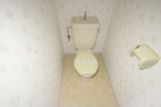 トイレ　※別部屋の写真です