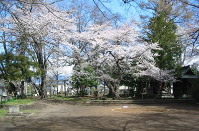 公園　若宮公園（公園）まで212m