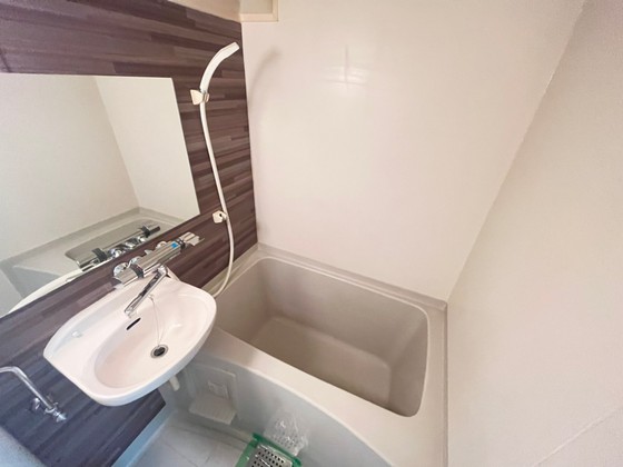 バス・シャワールーム　※別部屋の写真です