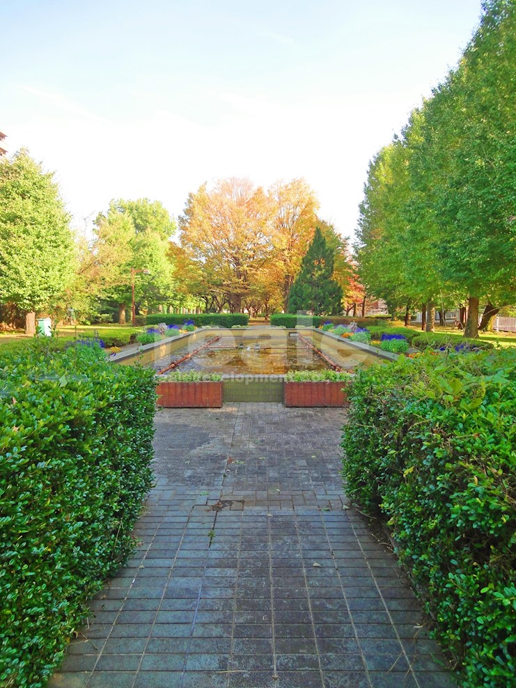 公園　仙川公園（公園）まで1109m