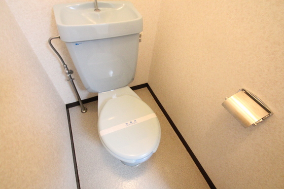 トイレ　※別号室の写真です