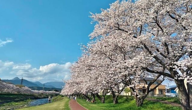 公園　潤井川河川敷（公園）まで1000m
