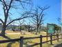 公園　飯能中央公園（公園）まで500m
