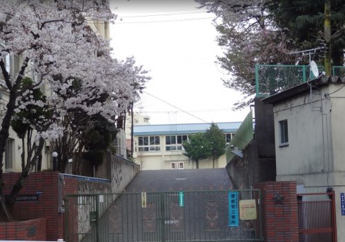 小学校　北区立滝野川小学校（小学校）まで715m