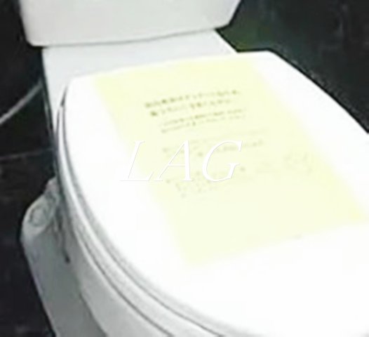 トイレ　トイレです。