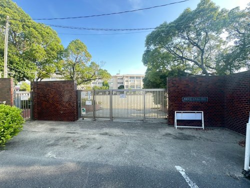 小学校　尼崎市立立花南小学校（小学校）まで650m