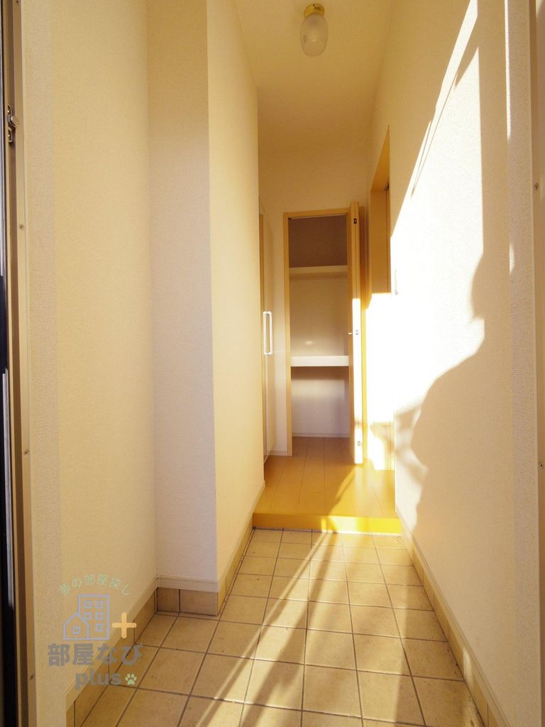 玄関　※他号室写真です