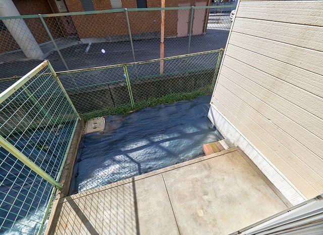 庭　南面専用庭