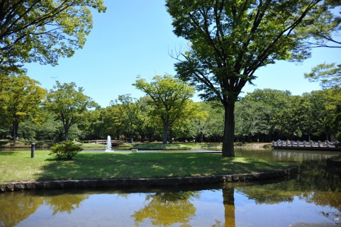 公園　代々木公園（公園）まで584m
