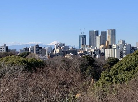 眺望　六義園の緑が広がっております。空気の澄んだ日には富士山も望め