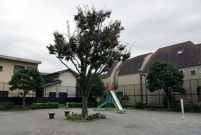 公園　金町ときわ公園（公園）まで400m