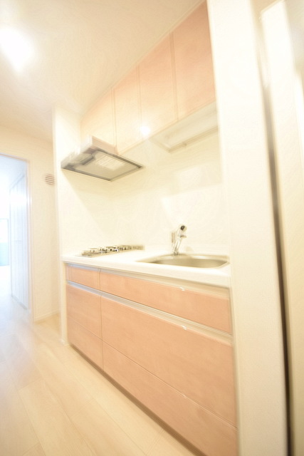 キッチン　～今日の晩御飯は何にしようかな～