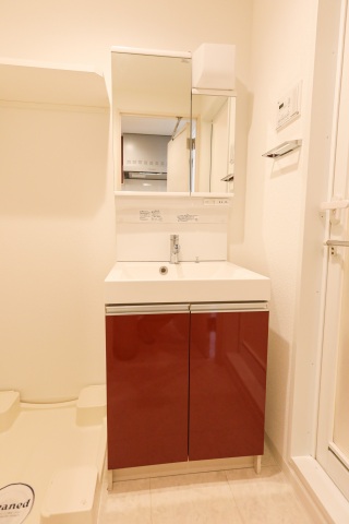 洗面設備　スカイコートパレス板橋　板橋区板橋１