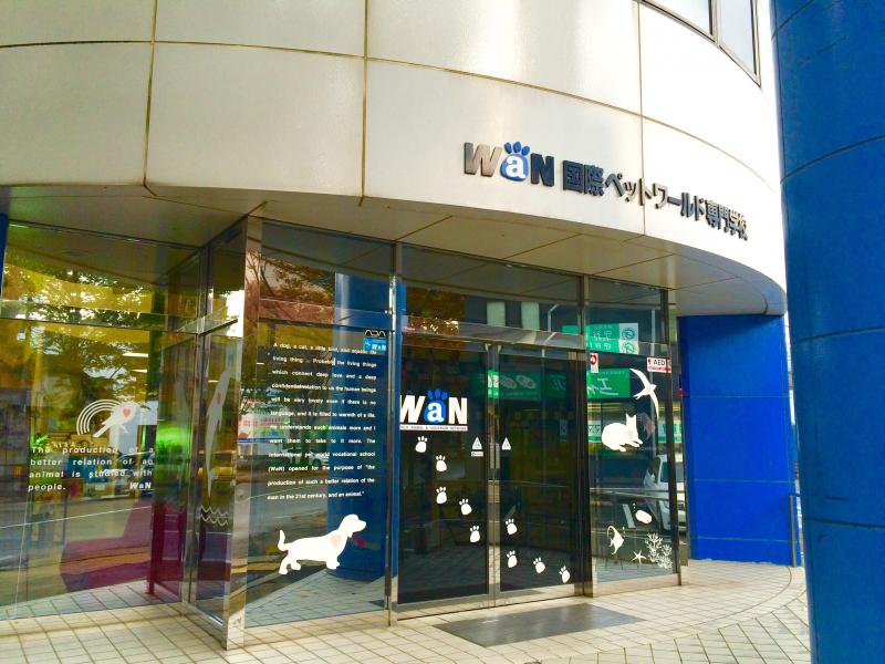 その他　国際ペットワールド専門学校（その他）まで200m