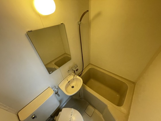 バス・シャワールーム　※別部屋の写真です