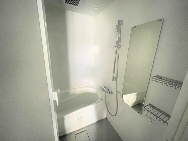 バス・シャワールーム　玄関からのお部屋です。