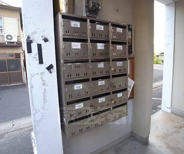 庭