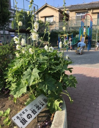 公園　旗の台北公園（公園）まで477m